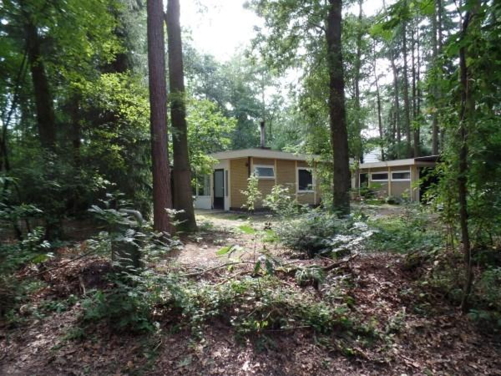 Leuke 4 persoons bungalow op rustige locatie in het bos in Drenthe - Nederland - Europa - Doldersum