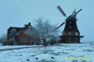 Zur Windmühle - Duitsland - Mecklenburg-Vorpommern - Neubukow- 4 persoons