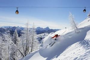 Almrausch - Oostenrijk - Salzburgerland - Mallnitz- 4 persoons