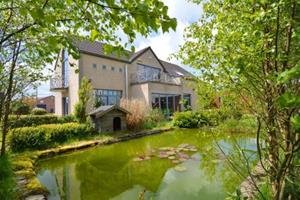 Residence Maxime 6 personnes - België - Ardennen, Luik - Sourbrodt- 6 persoons