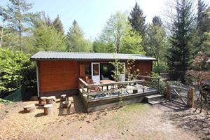 Gezellig 4 persoons chalet met sauna op de Veluwe. - Nederland - Europa - Epe