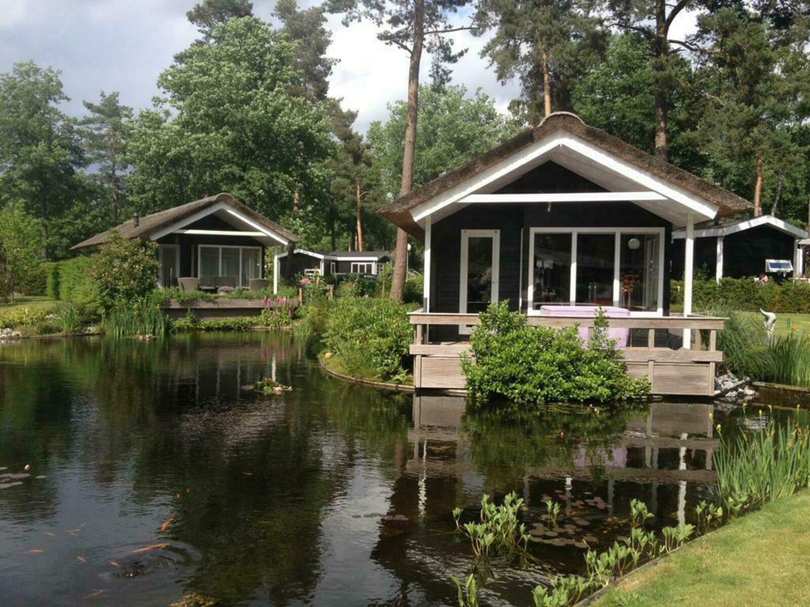 Luxe 4 persoons Lodge op een familiepark nabij Markelo - Twente - Nederland - Europa - Markelo