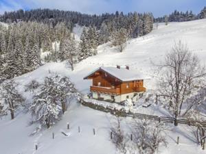 Chalet Schüttbach - 9-12 personen - Oostenrijk - Ski Amadé - Salzburger Sportwelt - Wagrain