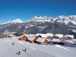 Chalet Almwelt Austria Waldjuwel - 6-7 personen - Oostenrijk - Ski Amadé - Schladming-Dachstein - Pichl