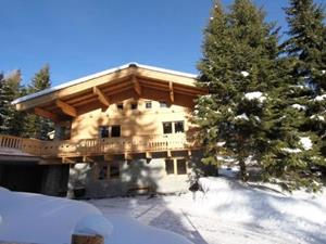 Chalet Wellness - 12-14 personen - Oostenrijk - Zillertal - Hochkrimml