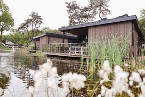 Luxe zespersoons Eco-Lodge op de Utrechtse Heuvelrug - Nederland - Europa - Rhenen