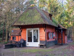 Karakteristiek vrijstaand 5 persoons vakantiehuis, bosrijk gelegen nabij Norg in Drenthe - Nederland - Europa - Norg