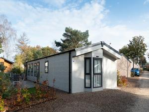 Ruim 4 persoons chalet midden in de bossen op de Veluwe - Nederland - Europa - Otterlo