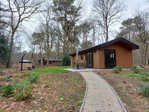 4 persoons vrijstaand chalet op Vakantiepark De Wiltzangh in Ruinen - Nederland - Europa - Ruinen