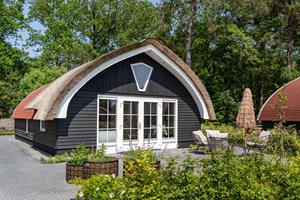 Moderne 6 persoons vakantiehuis gelegen aan het veld in de bossen nabij Giethoorn - Nederland - Europa - Baars