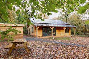 Luxe 4-persoonsvakantiehuis met sauna en bubbelbad, natuurrijk gelegen in Westerbork - Nederland - Europa - Westerbork