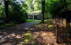 Gezellige 5 persoons bungalow op een camping midden in het bos, gelegen in Diever - Nederland - Europa - Diever