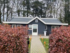 Landelijk ingerichte 4-persoons bungalow gelegen in het bos op Residence de Eese - Nederland - Europa - De Bult