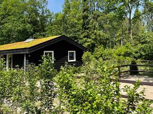 Gelijkvloerse 4 persoons bungalow met grote tuin in Winterswijk - Nederland - Europa - Winterswijk