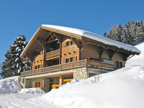 Chalet Les Flats - 10-14 personen - Zwitserland - Les Portes du Soleil - Les Crosets