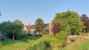 Vrijstaande 4 persoons bungalow in de prachtige natuur van Westbroek - Nederland - Europa - Westbroek