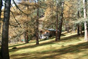 Chalet Petit Poucet - Frankrijk - Chamonix