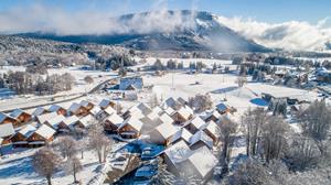 Les Chalets du Berger Premium 3p8p D+CM - Frankrijk - La Féclaz