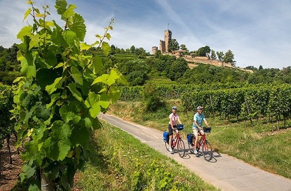 Fietsvakantie Duitse Wijnstrasse - Duitsland