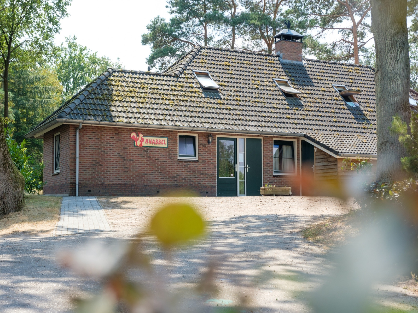 8 persoons vakantiehuis geschikt voor mindervaliden op een vakantiepark in Hardenberg - Nederland - Europa - Hardenberg