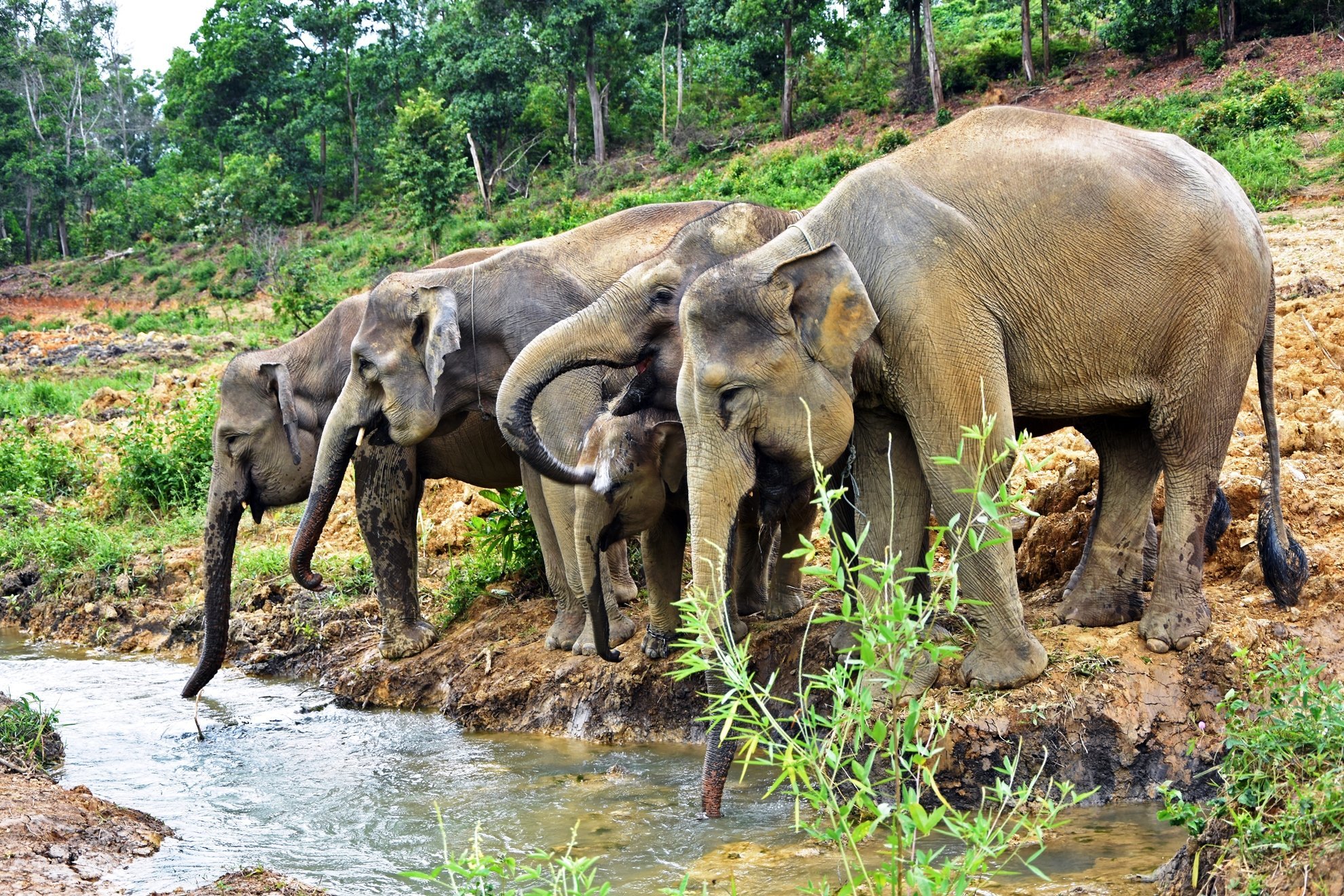 Bouwsteen 15 dagen avontuurlijk Noord-West Sumatra - Indonesië - Sumatra