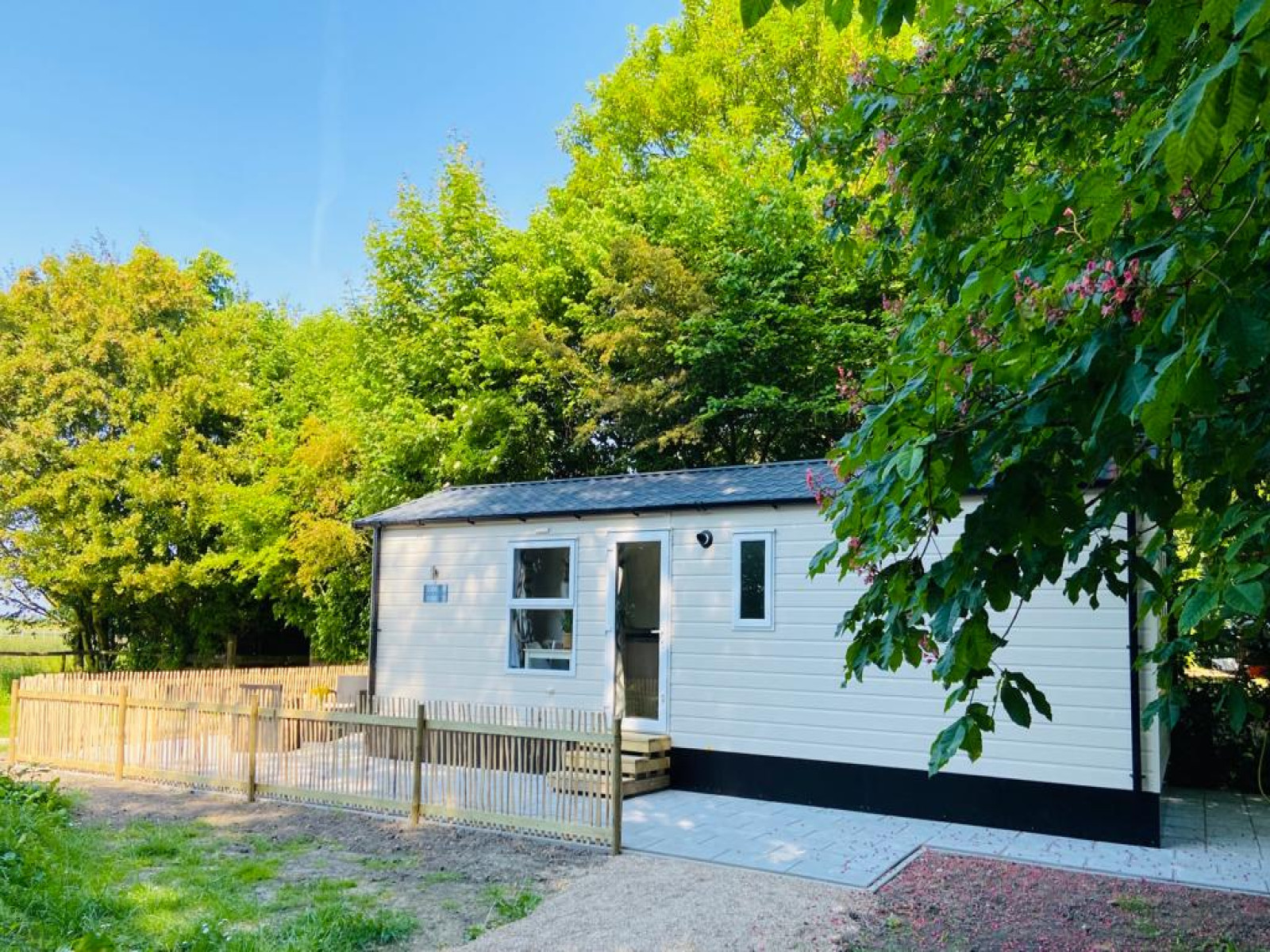 Gezellig 4 persoons chalet in het Noord-Hollandse landschap in de buurt van Waarland - Nederland - Europa - Waarland