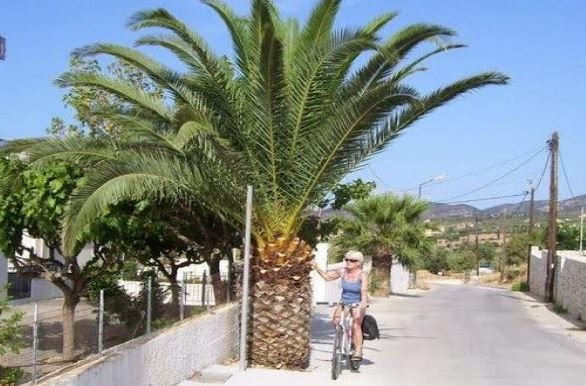 Fietsvakantie Kefalonia en Ithaka 8D - Griekenland