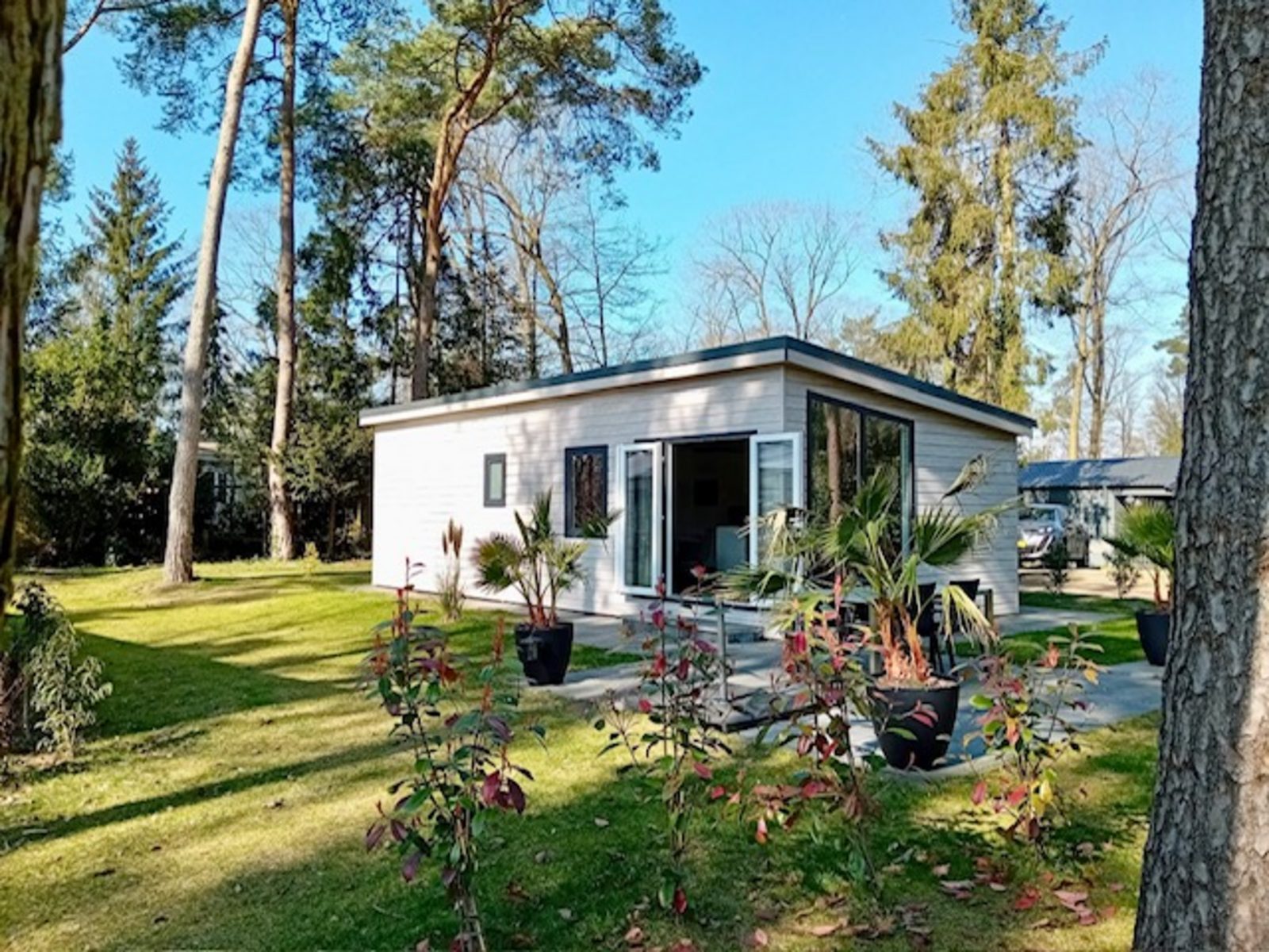 Boslodge De Mooie Plek - 3 personen - Nederland - Overijssel - Markelo