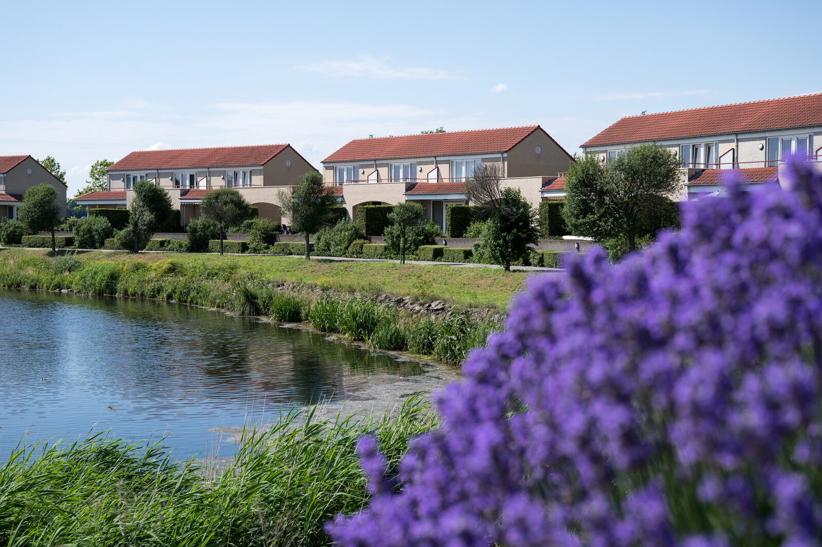 Havenwoning | 2-6 Pers. - Nederland - Limburg - Heel
