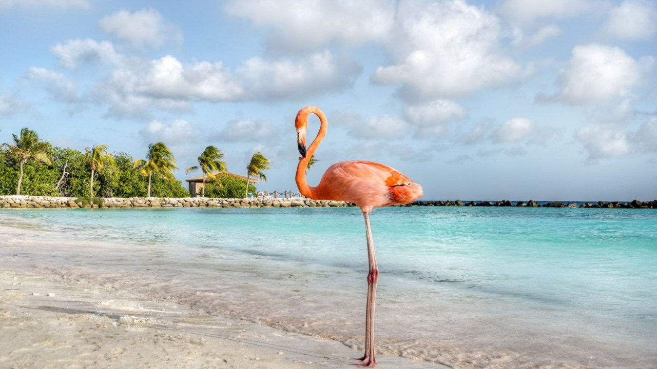 Holland America Line - Zuidelijke Caribbean cruise en ABC-eilanden - Verenigde Staten - Florida - Fort Lauderdale
