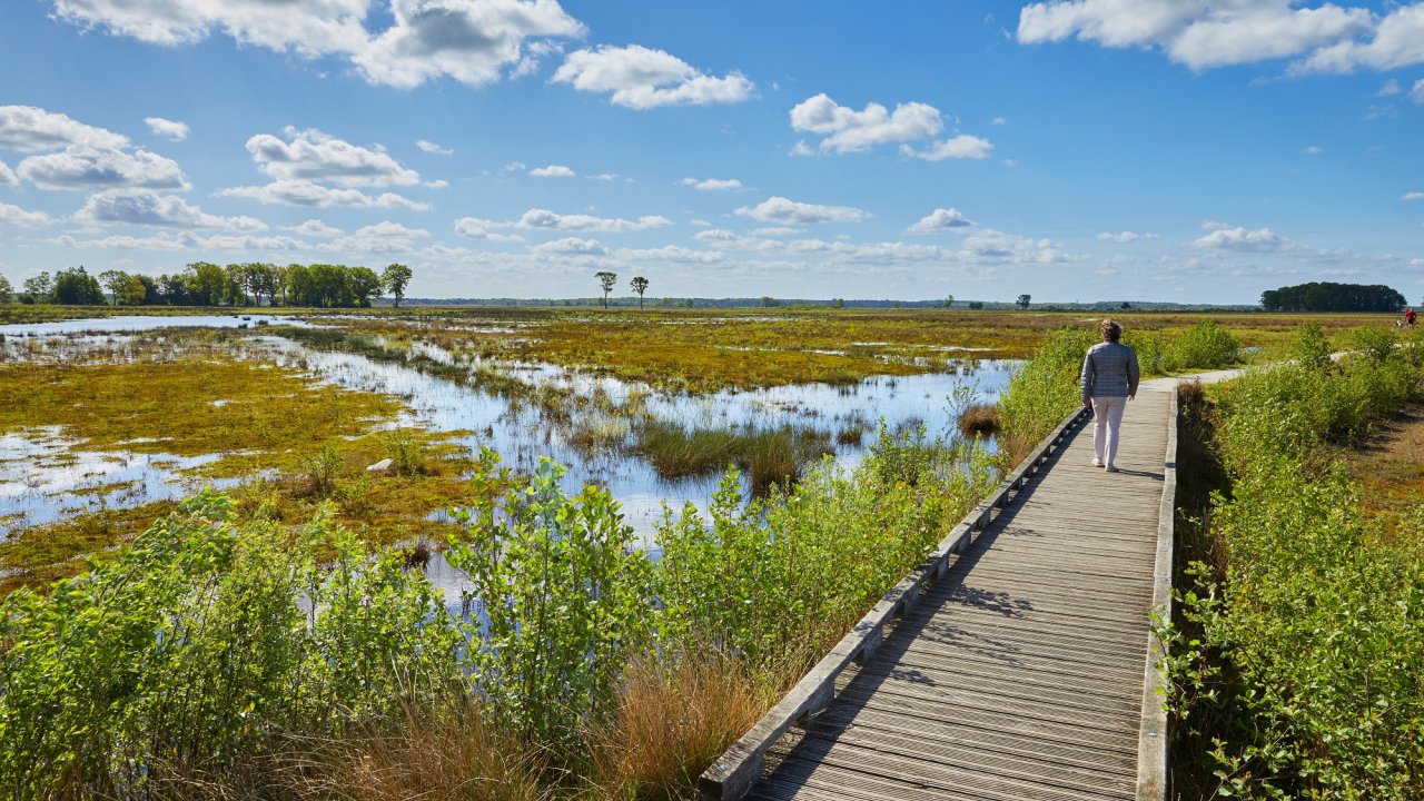 Hotel & Restaurant Wesseling - Nederland - Drenthe - Dwingeloo