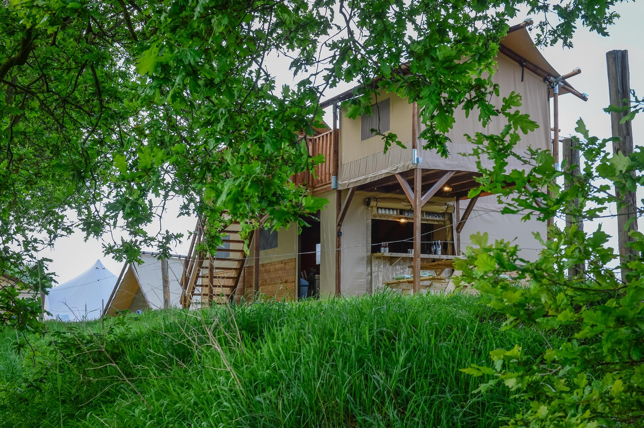 Treehouse tent at the Regge with private sanitary facilities | 6 people - Nederland - Zuna