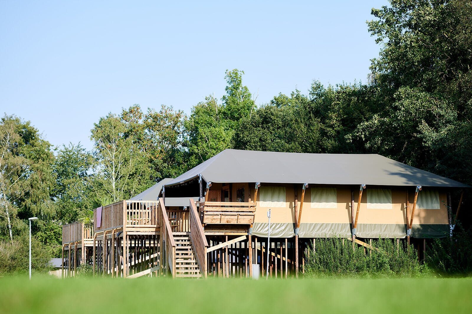 Safaricottage XL aan de Holterberg - 6 personen - Nieuw Heeten