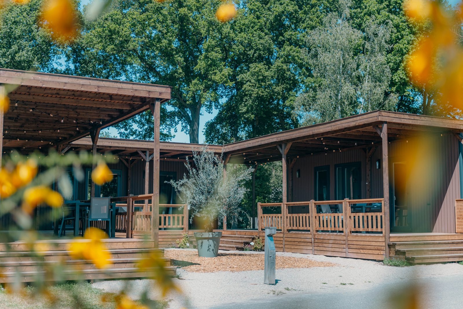Tiny Lodges in de natuur- 12 personen - Nieuw Heeten