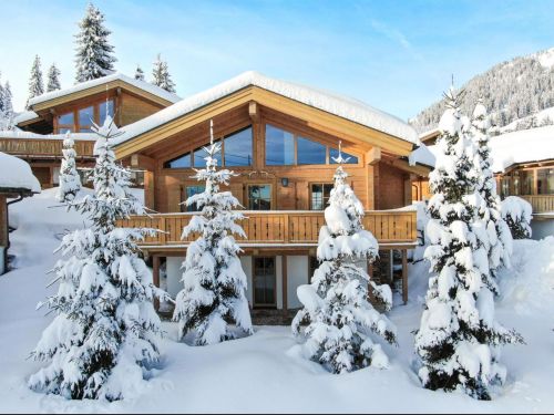 Chalet Carpe Diem - 6-7 personen - Oostenrijk - Zillertal - Königsleiten