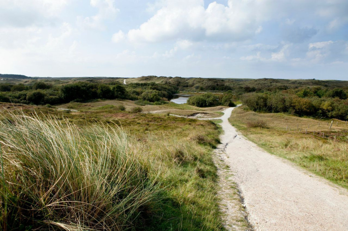 NH525 - Nederland - Sint-Maartenszee
