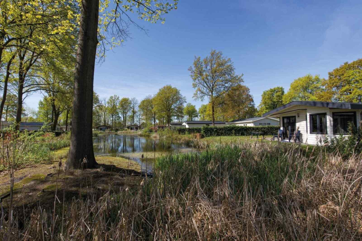 L080 - Nederland - Susteren