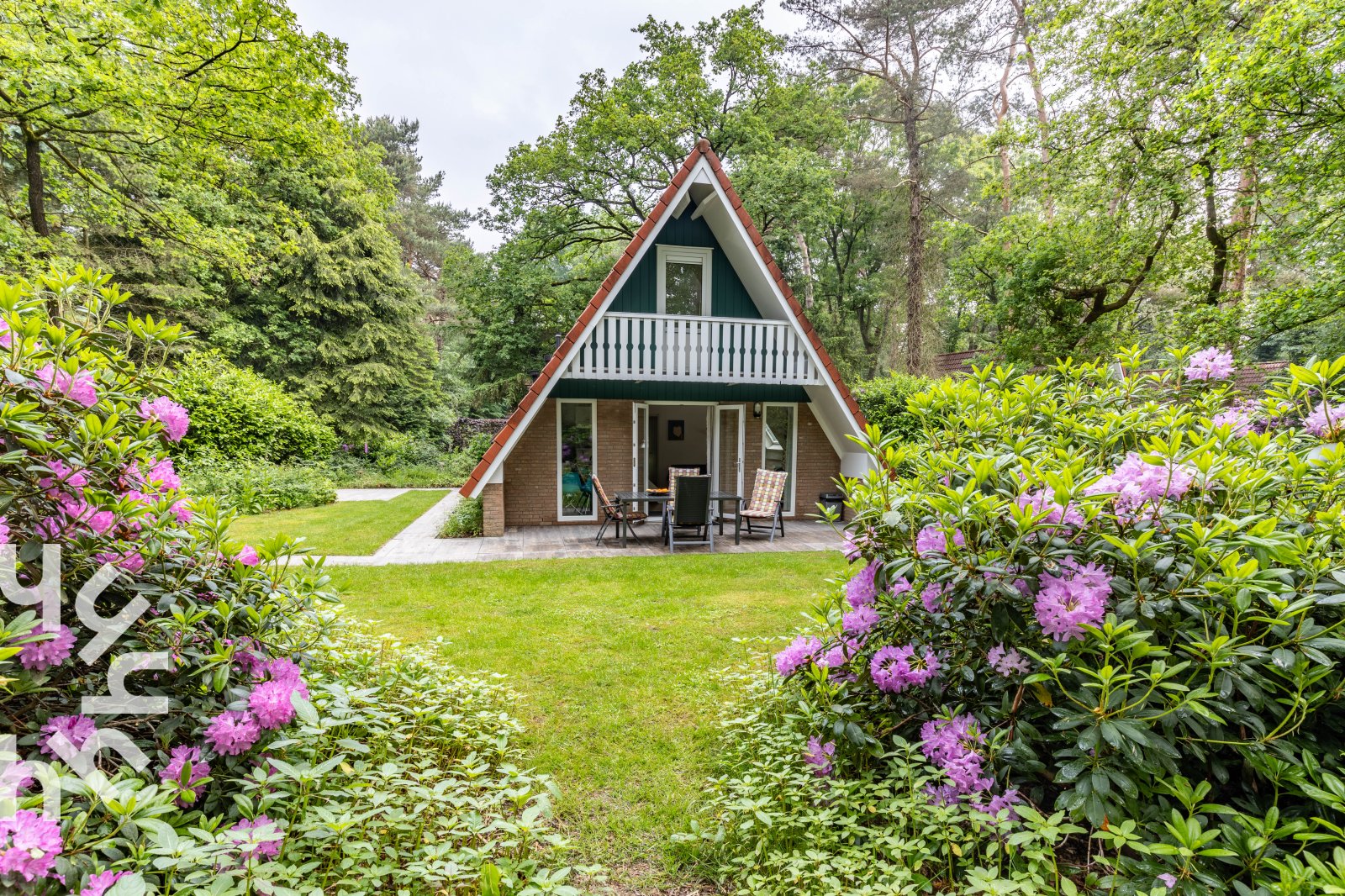 DG253 - Nederland - Harfsen