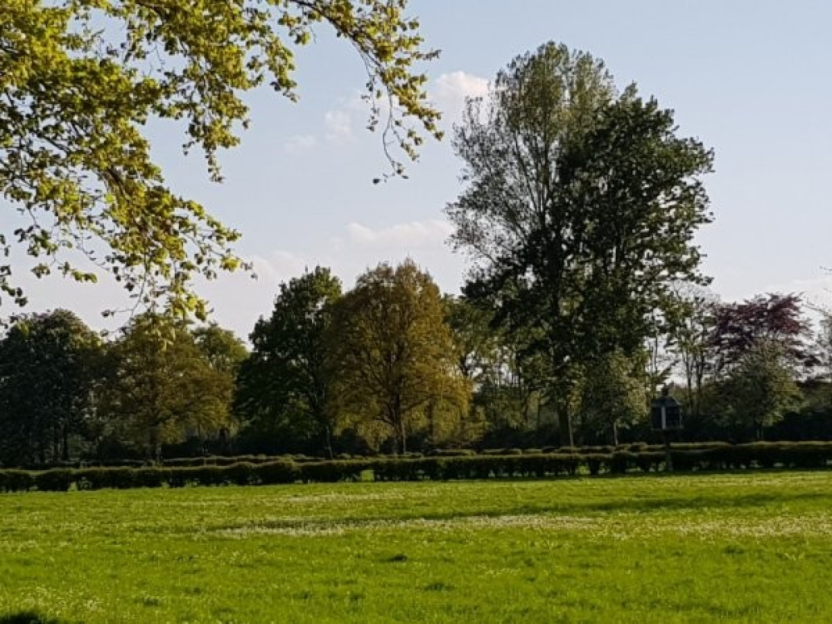 DG609 - Nederland - Zelhem