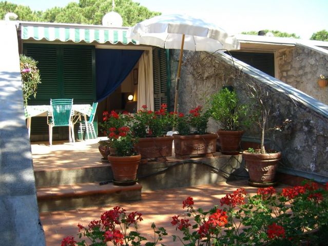 Pino mono - Italië - Marina di Campo