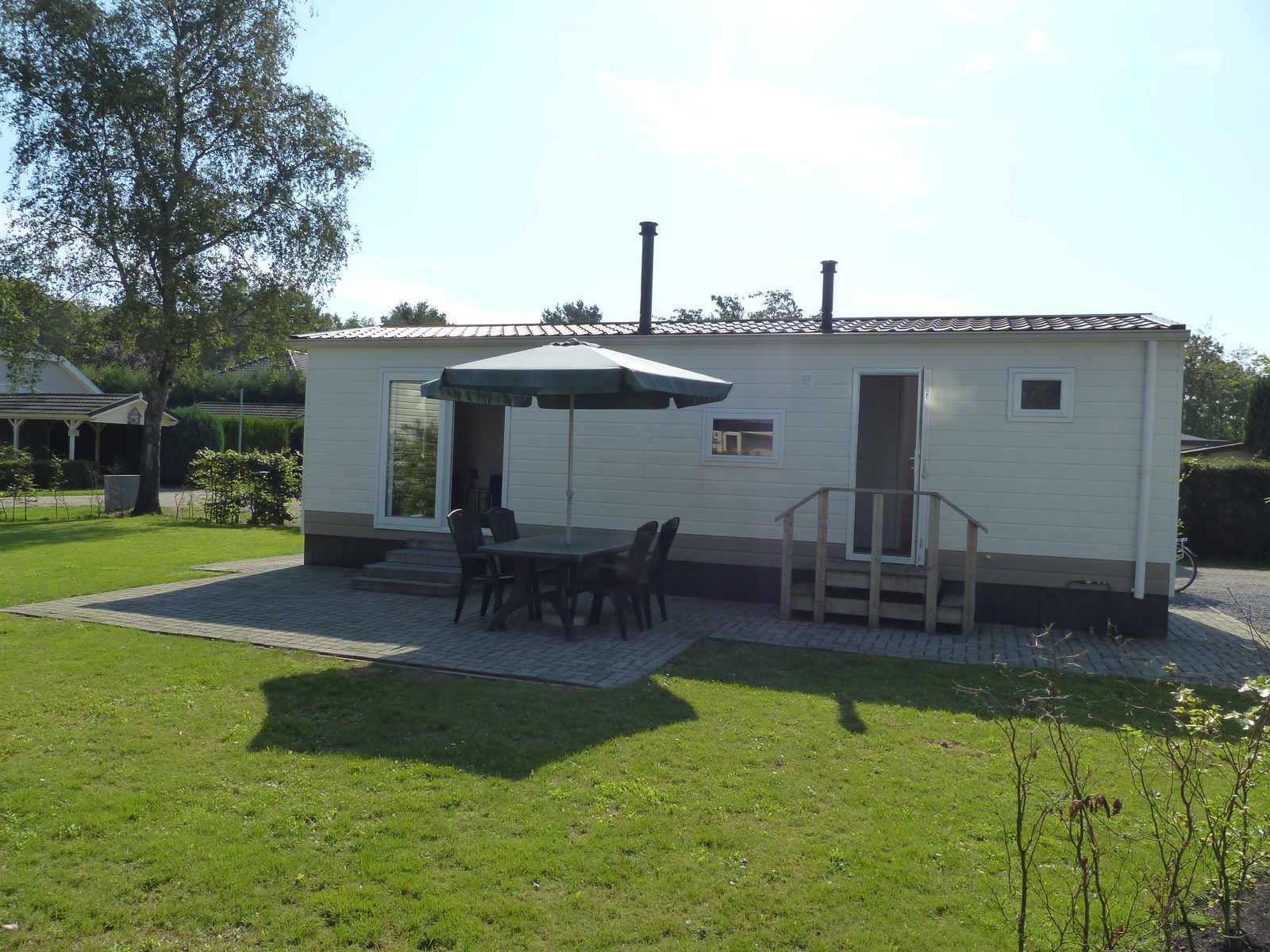 Goudvink 598 - Nederland - Baarle-Nassau