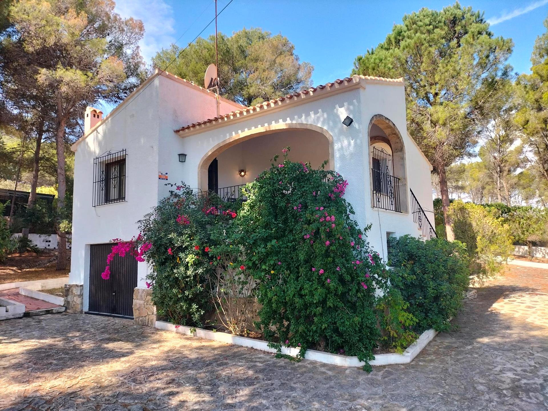 Poppy - Spanje - Javea