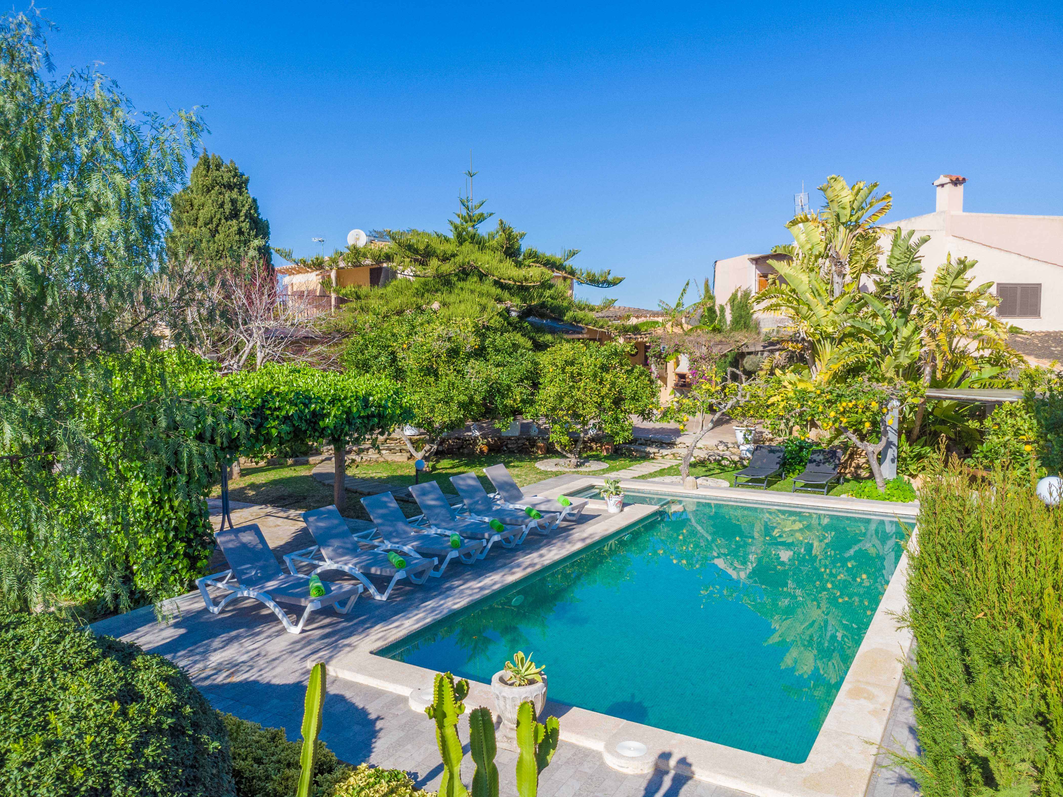 Finca Tito Y Yaya - Spanje - Alcudia