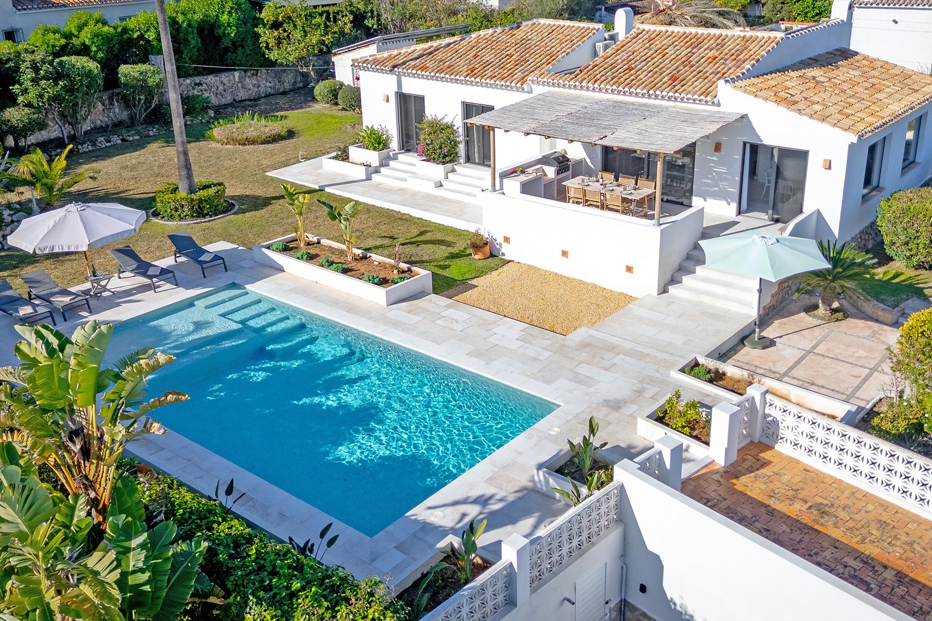 Jujube - Spanje - Javea