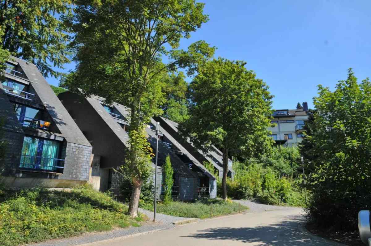 ARD163 - België - Vielsalm