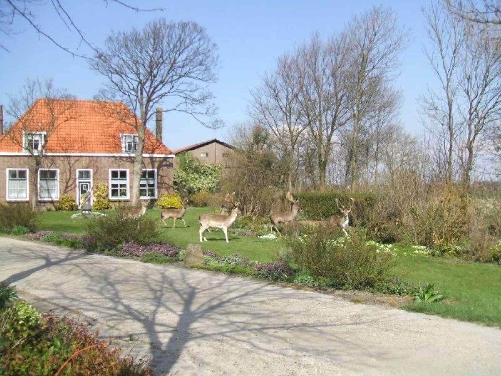 ZE1156 - Nederland - Vrouwenpolder