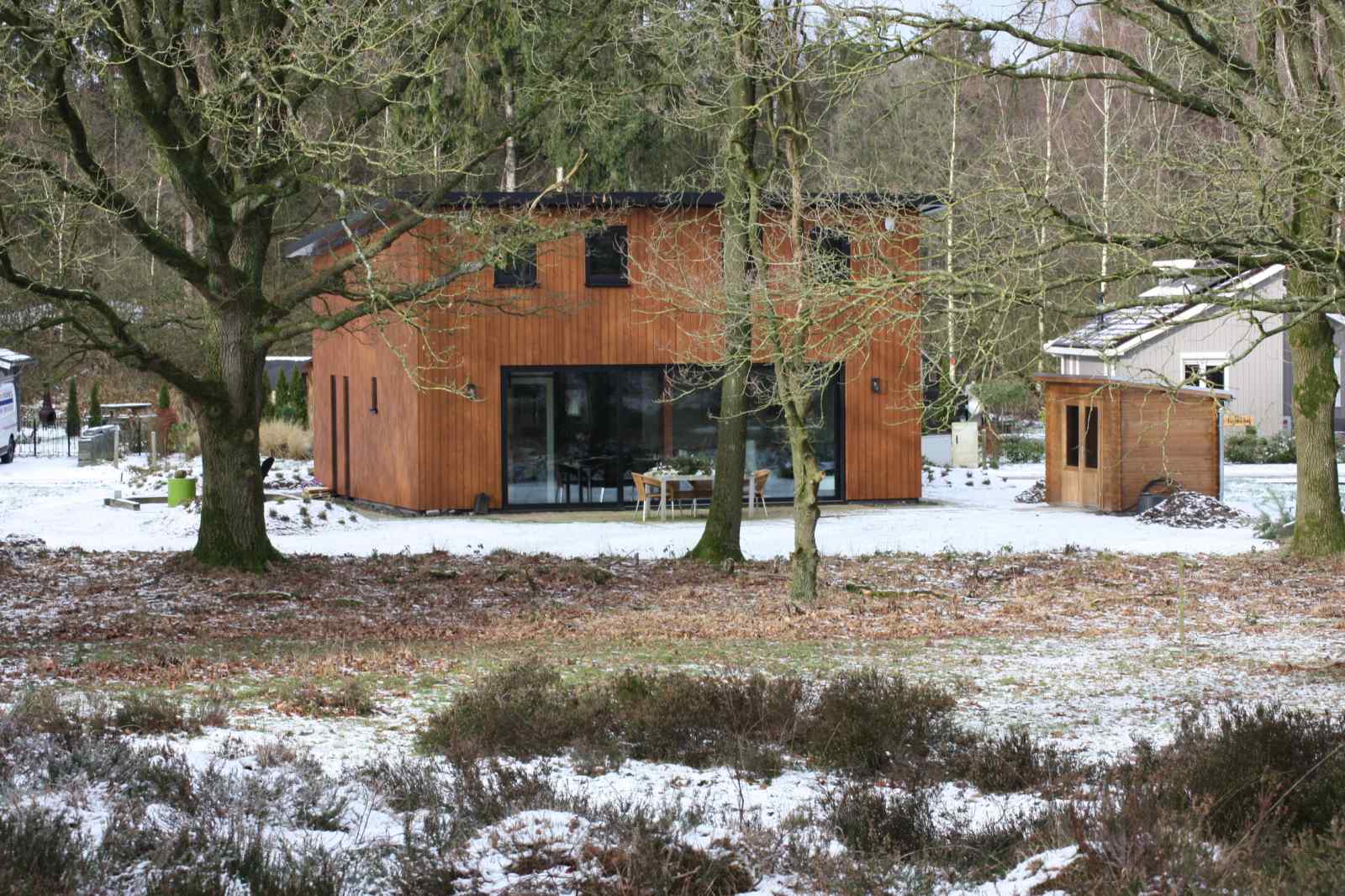 DG1552 - Nederland - Spier