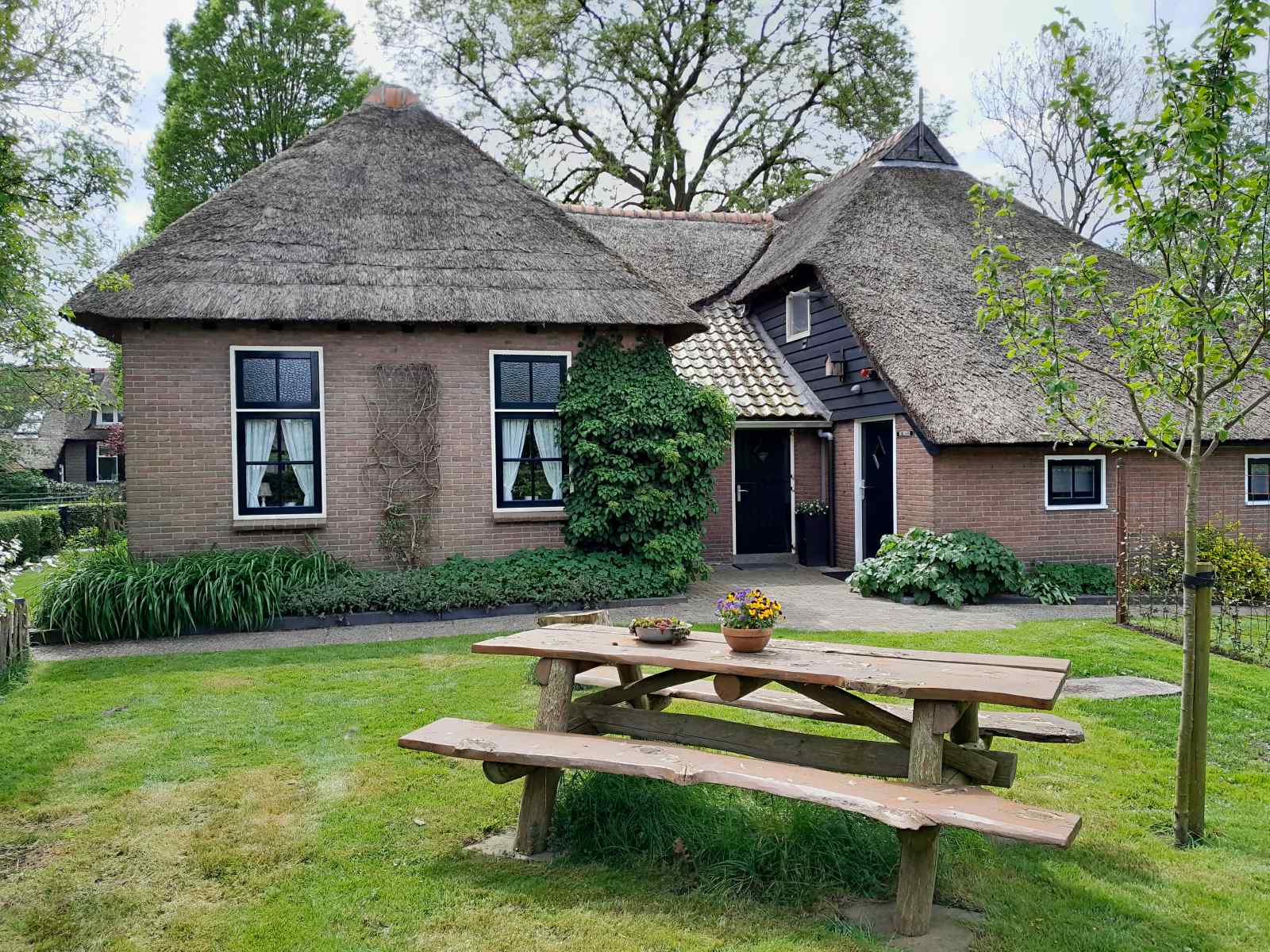 OV602 - Nederland - Giethoorn