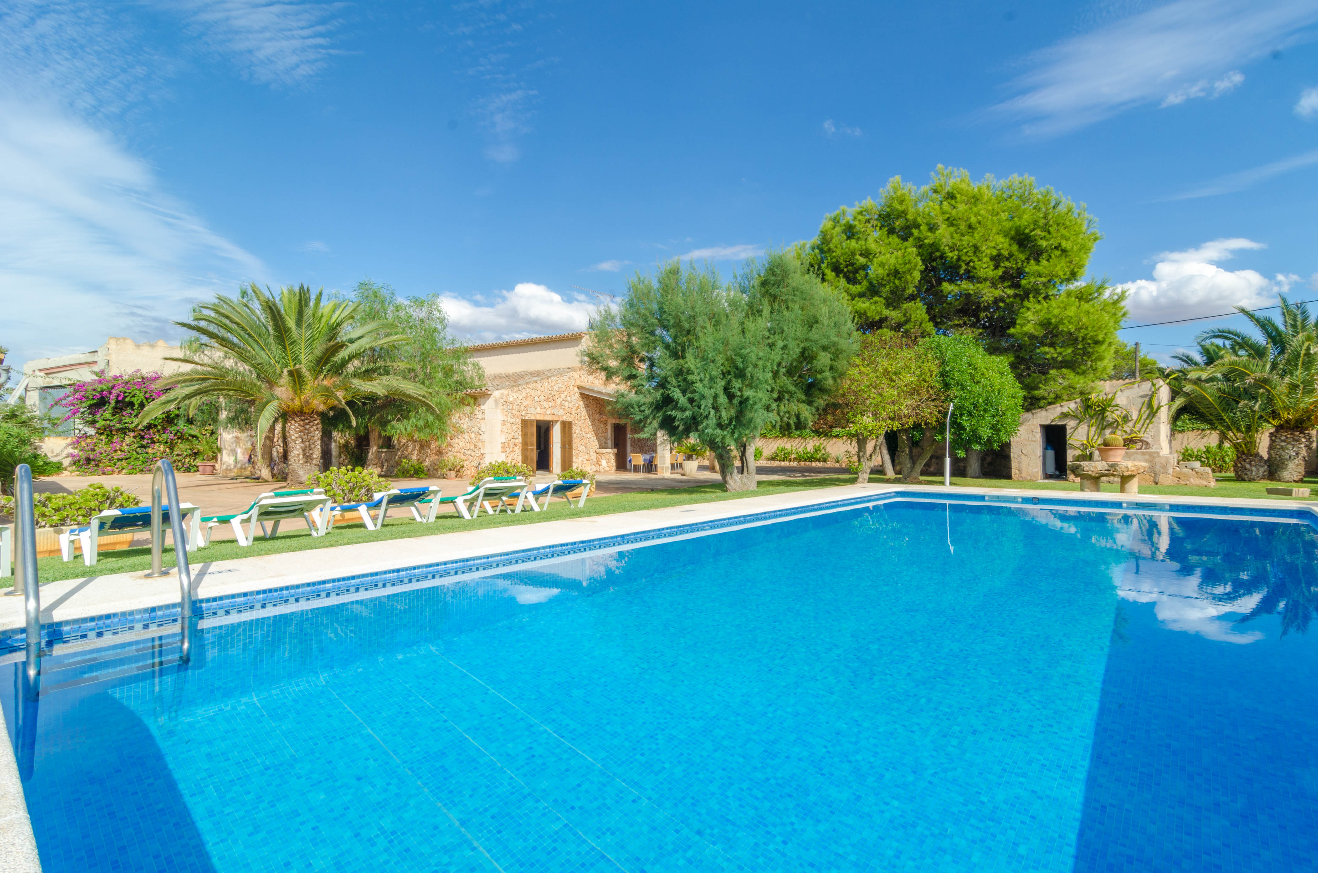 Torre Marina (Alga Marina) - Spanje - Campos