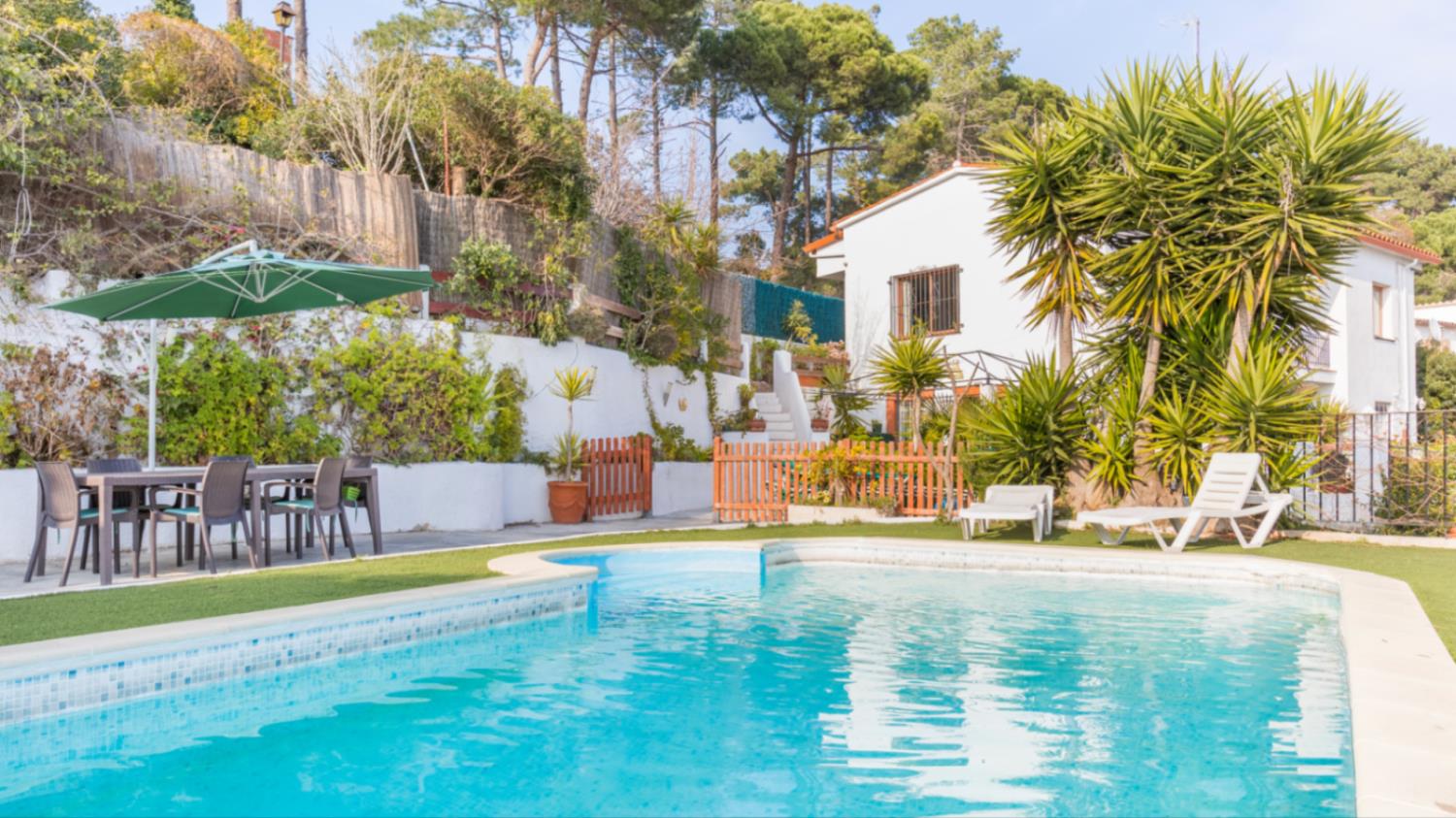 Palmeras - Spanje - Lloret de Mar